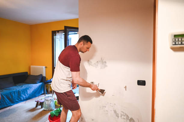 Best Affordable Mold Removal  in Huber Ridge, OH